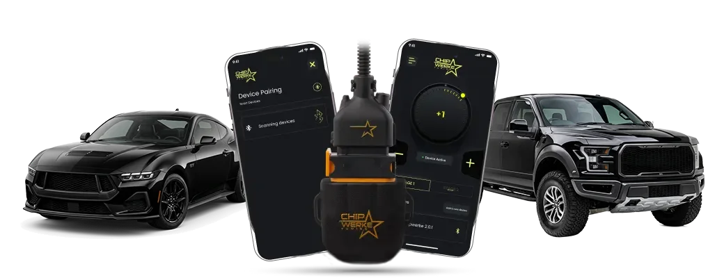 What Is ChipWerke Piggyback Tuner?